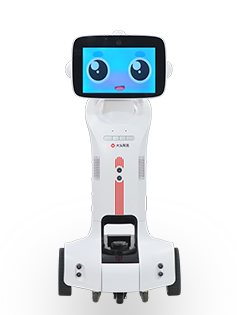 DTAL Robot